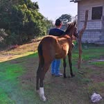 Gerson Posadas - @gerson.posadas.988 - Instagram