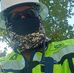 Gerson Reyes - Facebook