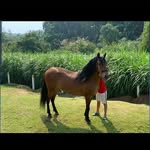 gerson  torres jimenez - @gersontorres01 - Instagram