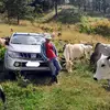 Gerson Torres - @gerson.torres1 - TikTok