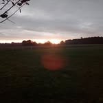 Gert Peters - @bauergert63 - Instagram