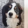 gertbauermeister0 - @gertbauermeister0 - TikTok