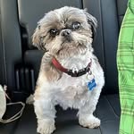 Gertraud Esterbauer - @gertraudesterbauer - Instagram