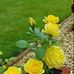 Gert Jacobs - Facebook