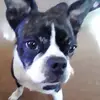 Gert Jacobs - @gertjacobs1619 - TikTok