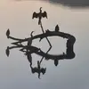 Gert Pretorius - @gertpretorius97 - TikTok