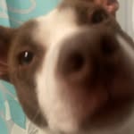 yogerton gert williams - @yogiwoogi - Instagram