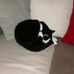 Gertrud Wirth - Facebook