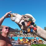 Gert Wolff - @gert.wolff - Instagram