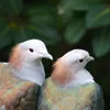 gerthabonnie136 - @gerthabonnie136 - TikTok