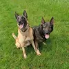 Gerti Thanner - @gerti.thanner - TikTok