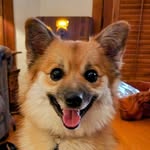 Gertrude Beaner - @beanergertrude - Instagram