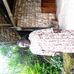 Gertrude Ernest - Facebook