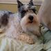 Gertrude Moore - Facebook