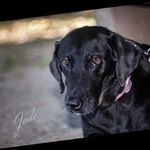 Gertrude Moore - @gertrudemoore84 - Instagram
