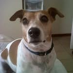 Gertrude Petersen - @gertrudepetersen - Instagram