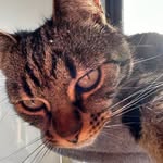 Gertrude Schmidt - @gertrudeschmidt405 - Instagram