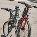 Todd&Gertrude - @toddngertrude4ever - Instagram
