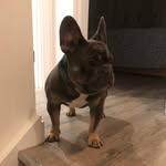Carter USM - @get_carter_usm - Instagram