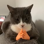 Paul Carter - @get_carter_23 - Instagram