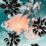 Getsemani Ramirez - @getsemani5248 - Instagram