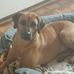 Gitta Rasmussen - Facebook