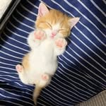陈歌行 - @gexing.chen - Instagram