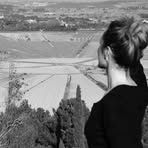 Geza Frey - Facebook