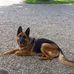 Geza Papp - Facebook