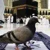 Ghada Abdallah98 - @ghadaabdallah980 - TikTok