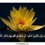 Ghada Abdallah - @ghada_abdallah150 - Instagram