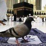 Ghada Abdallah - @ghadaabdallah623 - Instagram