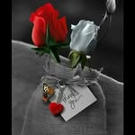 Ghada abdallah - @ghadaabdallah81 - Instagram