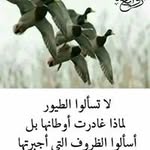 ghada abraham - @ghada.abraham - Instagram