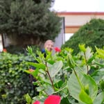 غادة عَيّاش - @ghada.ayyash4 - Instagram
