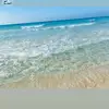 Ghada AzZam - @dodooo063 - TikTok