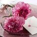 Ghada Badran - Facebook