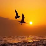 Ghada Deeb - Facebook