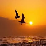 Ghada Deeb - @ghada.deeb.921 - Instagram