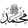 Hhhggg Hhhggg - @ghada.deeb - TikTok