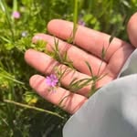 Ghada Farag - @ghada_farag9 - Instagram