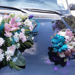 Ghada Farhat - @ghada.farhat.378 - Instagram