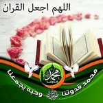 Ghada Hammad - @ghadahammad9 - Instagram
