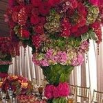 Ghada Hammad - @ghada_hammad69 - Instagram