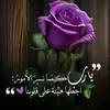 Ghada Hammoud29 - @ghadahammoud29 - TikTok