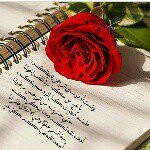 ghada hammoud - @hammoud_ghada - Instagram