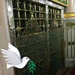 Ghada Ibrahim - @ghada.ibrahim.92560 - Instagram