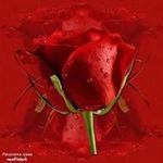Ghada Karam - @karam.ghada - Instagram