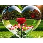 Ghada Khatib - @ghada.khatib.503 - Instagram