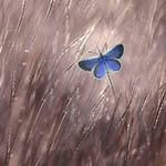 Ghada khatib - @ghadakhatib65 - Instagram